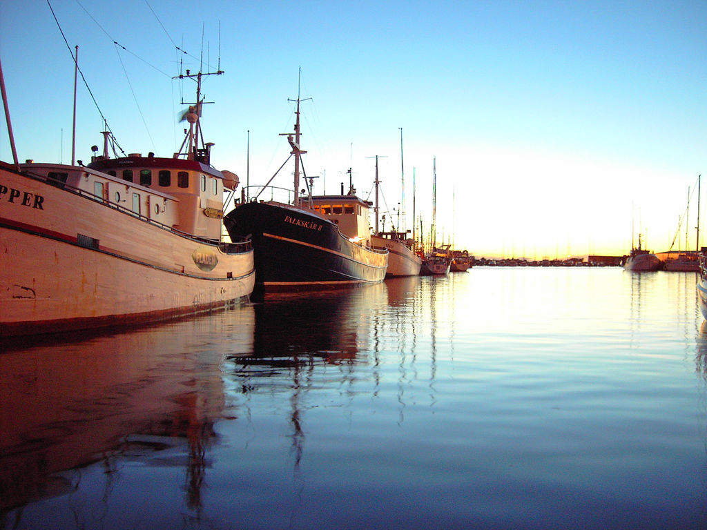 wharf construction
