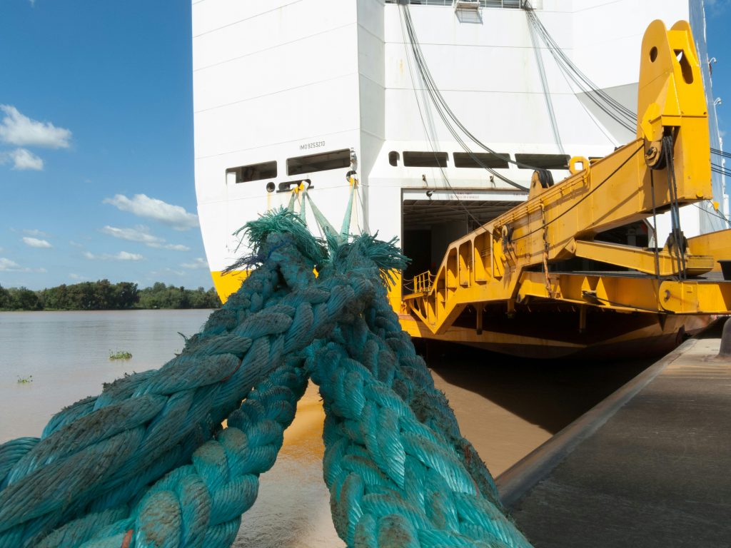 Dock Line