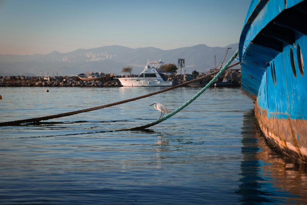 Mooring System Inspection