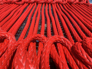 Factory Packing Line