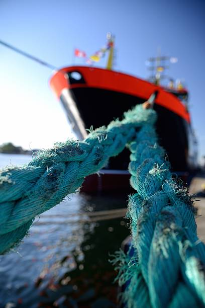 Large-Scale Marine Rope