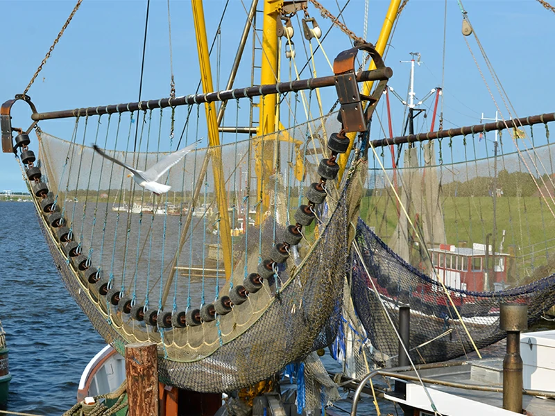 Mooring rope for fishing